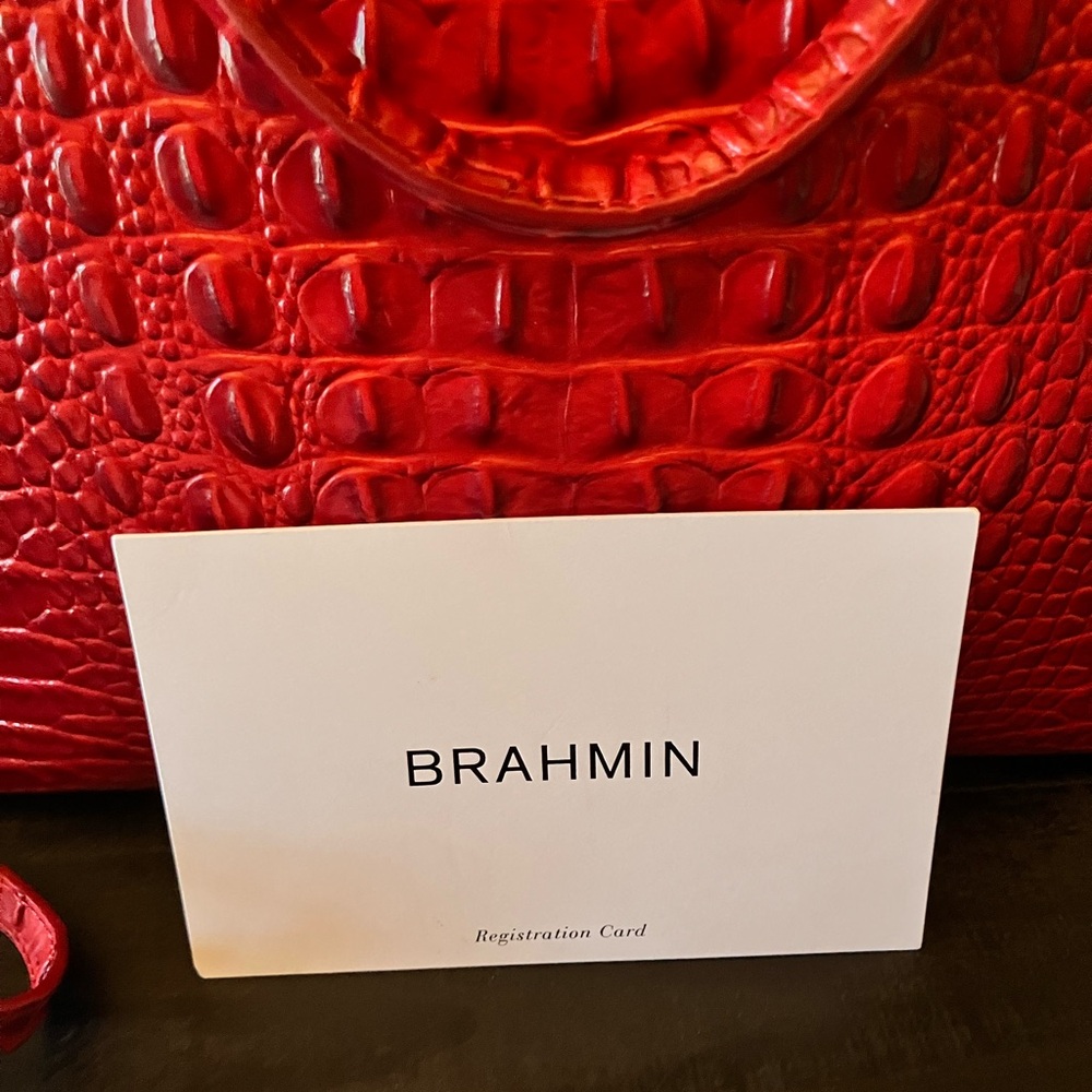 Brahmin Purse